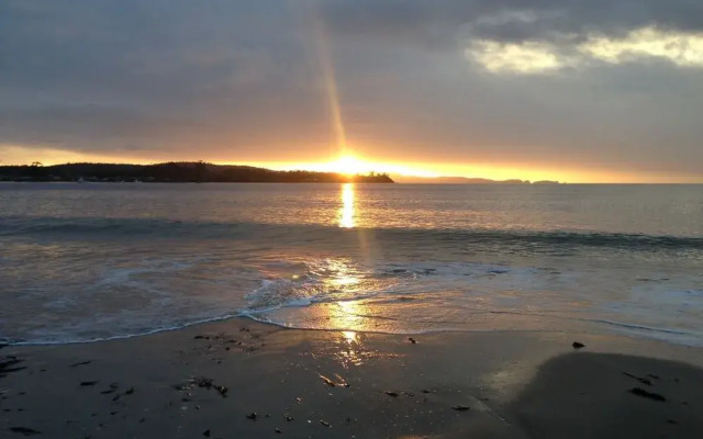 Essentially Tas - Southport