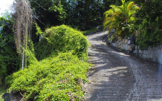 Stelia Seychelles