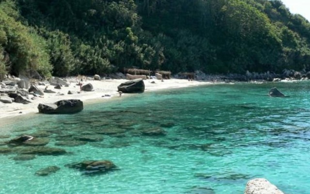 The beauty of nature