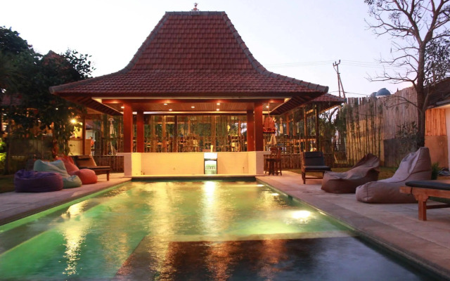 Premier Surf Camp