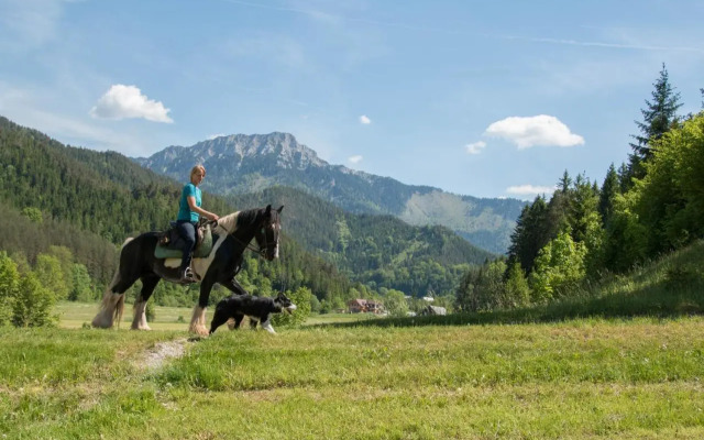 Reiterbauernhof Maho