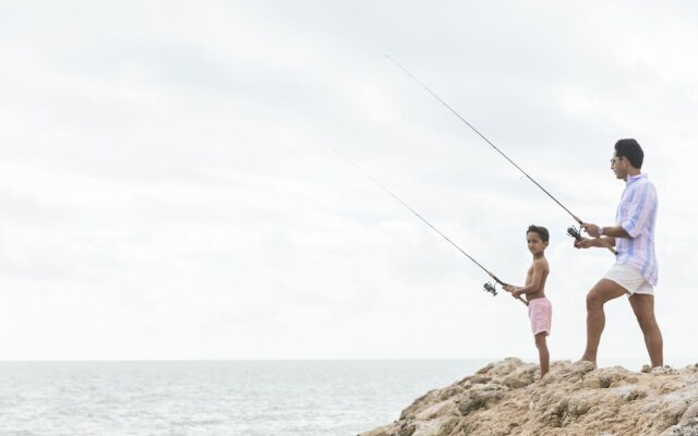 The Islands of Islamorada