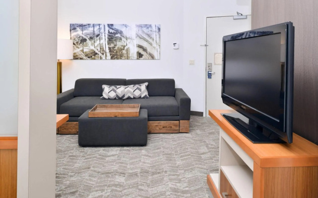 SpringHill Suites by Marriott Ashburn Dulles North