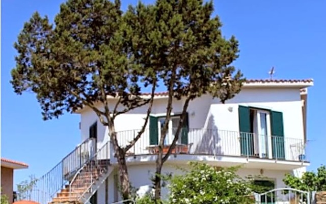 il Ginepro di Stintino