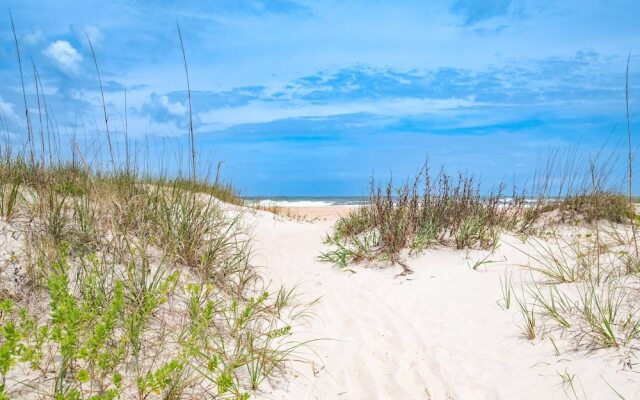 Endless Summer on B Street