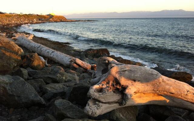 Dashwood Manor Seaside Bed & Breakfast