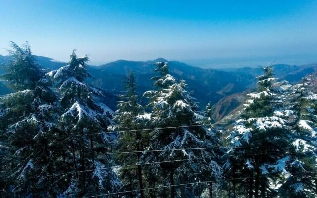 Dhanaulti Jungle Resort