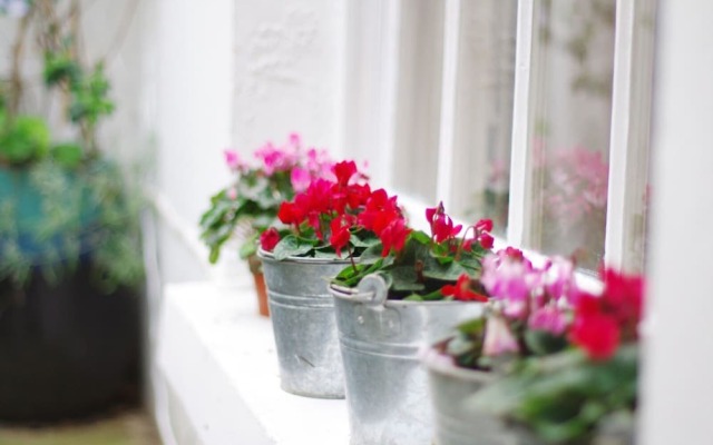 Regent"s Park Camden I