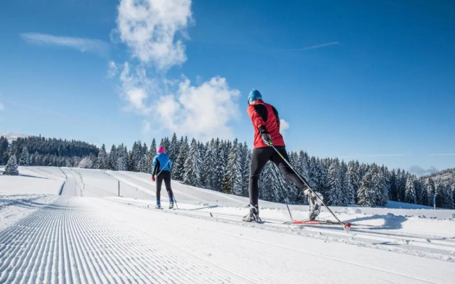 Haus Tannenberg "Ferienwohnung Heidi"