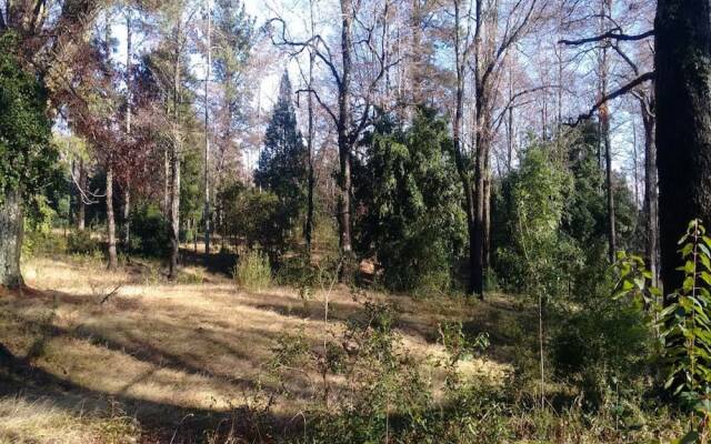 Cabana Tilleia 4 Personas