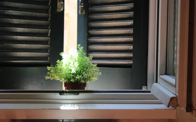 Colosseum New Charming Apartment