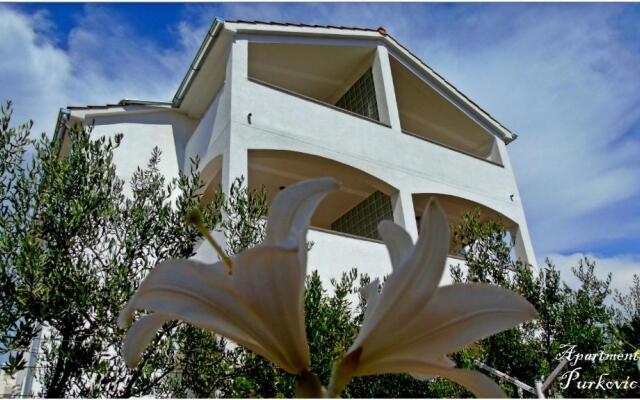 Apartments Purkovic