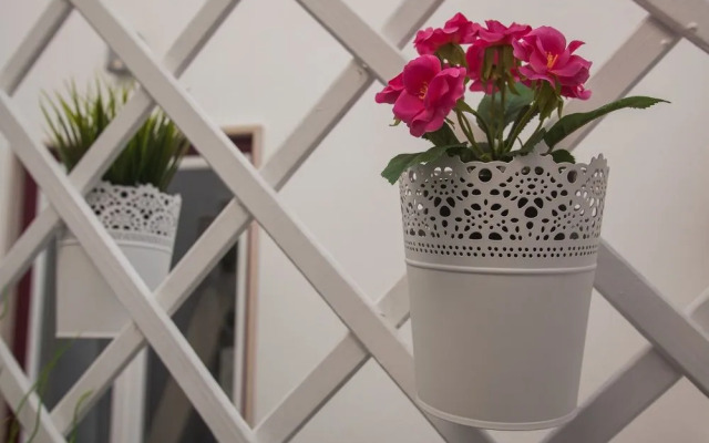 Thomar Story - Guest House