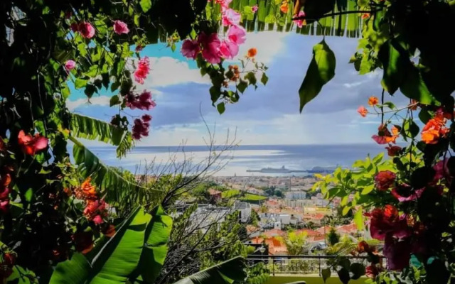 Granny's house view