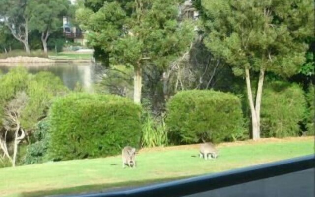 Bluewater Apartments Merimbula