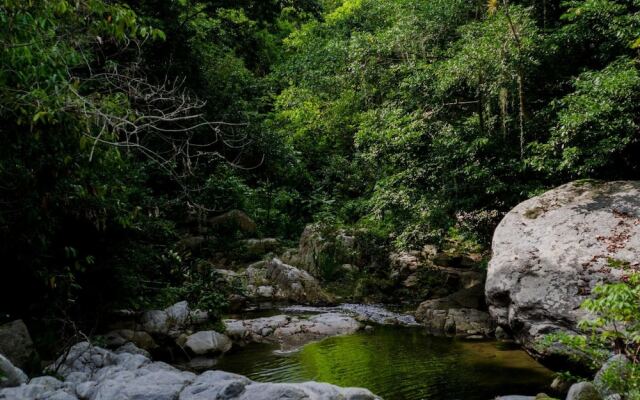 Tayrona Paradise