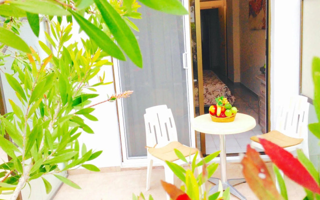 Hippocampus Hotel