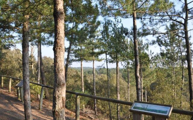 Appartement Saint-Jean-de-Monts, 2 pièces, 4 personnes - FR-1-323-223