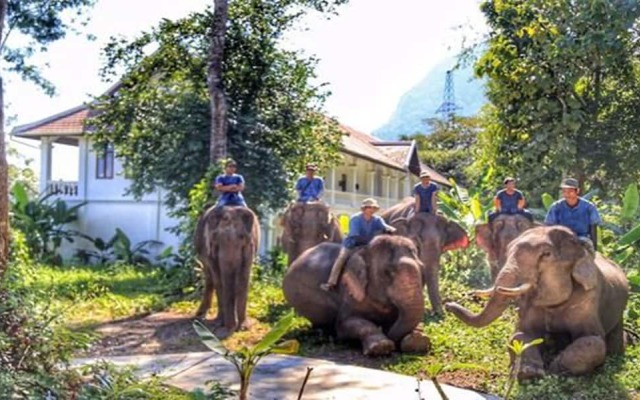 Mahout Resort