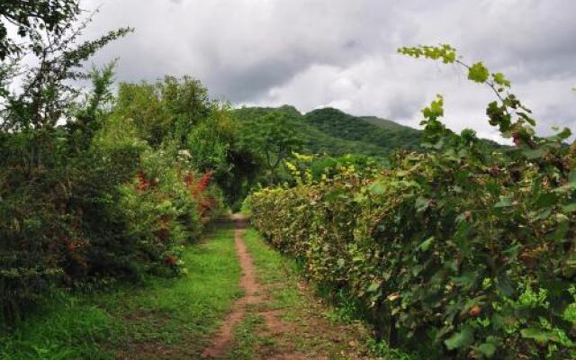 Finca Cielo Verde