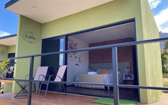 Palta 60 Valle de Guadalupe