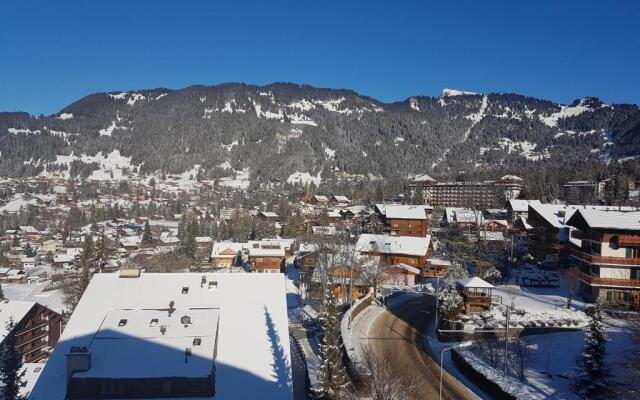 Studio 166 Le Bristol Villars