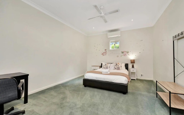 Olives and Vines at Majors Lane