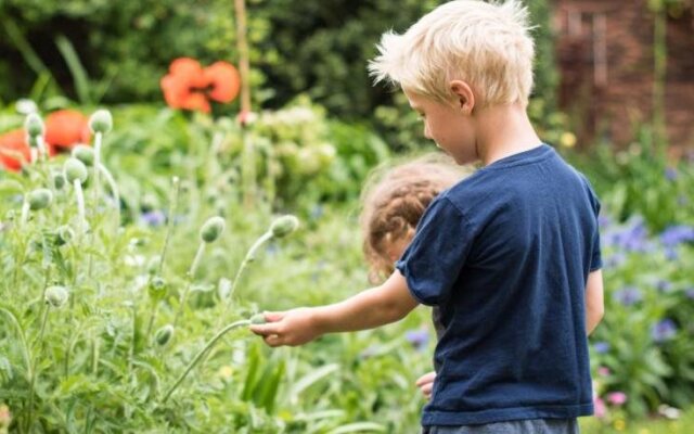 Huntstile Organic Farm