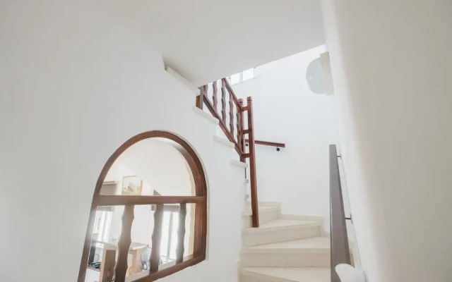 Chrysanthemum Villa