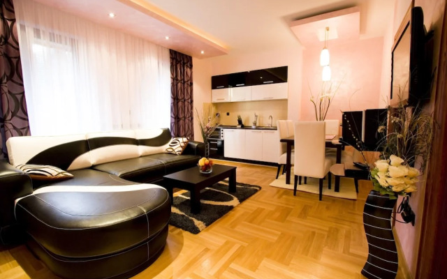 Vila Barović and Spa