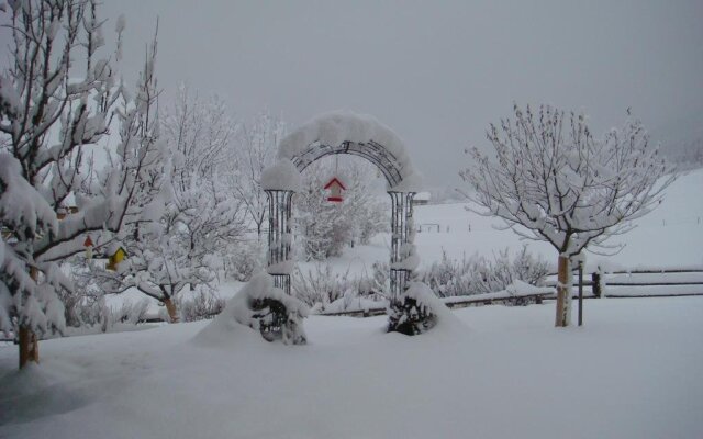 Ferienwohnungen Holzer