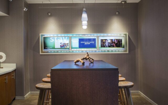 Springhill Suites By Marriott Chicago Lincolnshire