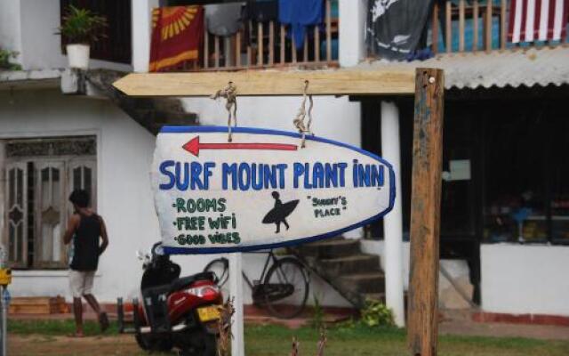 Surf Mount Plant Inn Midigama