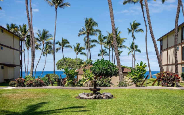 Kona Isle E23