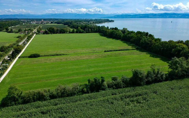 Ferien-Apartment Eisvogel im Naturschutzgebiet mit Privatstrand