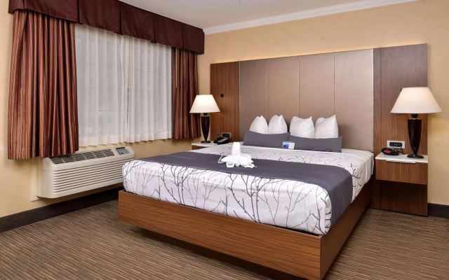 Best Western Hollywood Plaza Hotel - Walk of Fame Film City LA