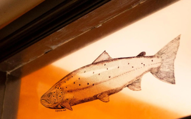 The Leaping Salmon