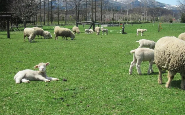 Yorkshire Farm
