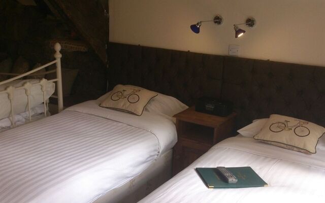 Plas Dolmelynllyn Country Hotel