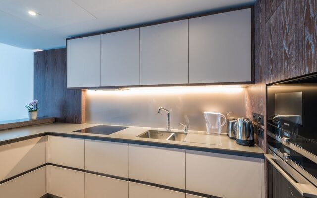 Luxury Apartment near Battersea Power Station