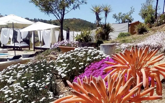 Casas de Campo do Castro da Cola