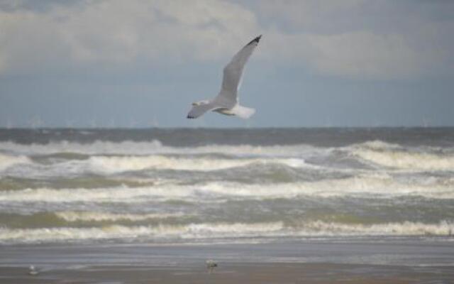 Huisjes Aan Zee