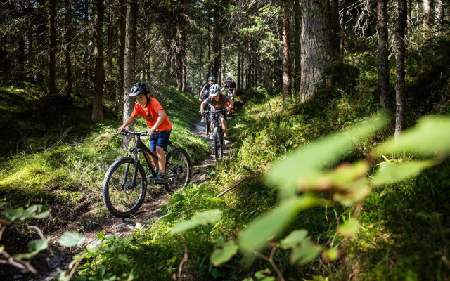 Edelweiss Promenada Penthouse