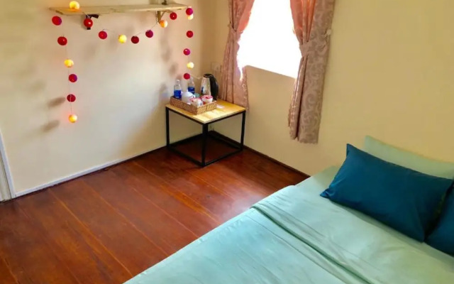 Pine Tree House Da Lat