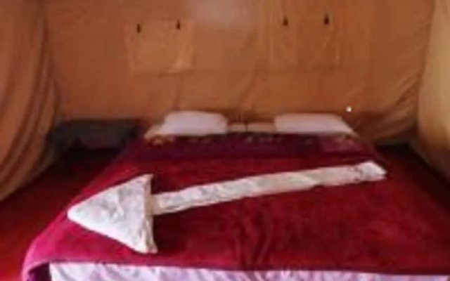 Wonderland Tourist Camp