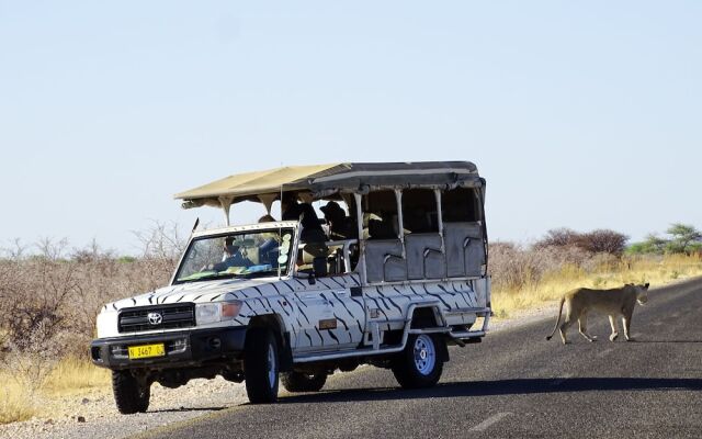 Etosha Safari Camping2Go