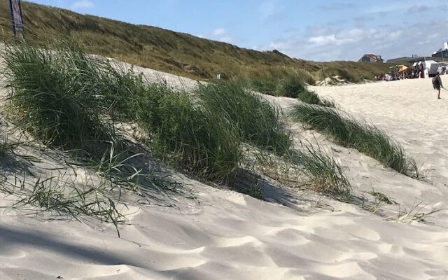 Ferienwohnung Coordes 06