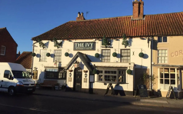 The Ivy