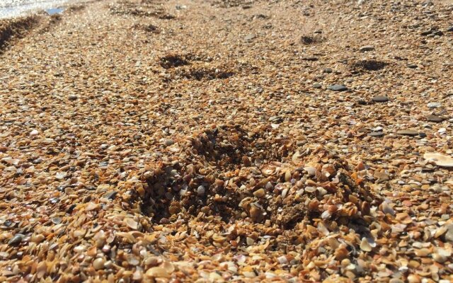 Guest House Novoselov