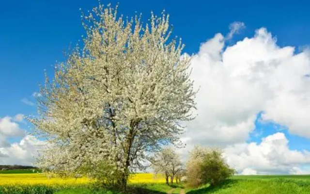 Ferienhaus Zirchow 2